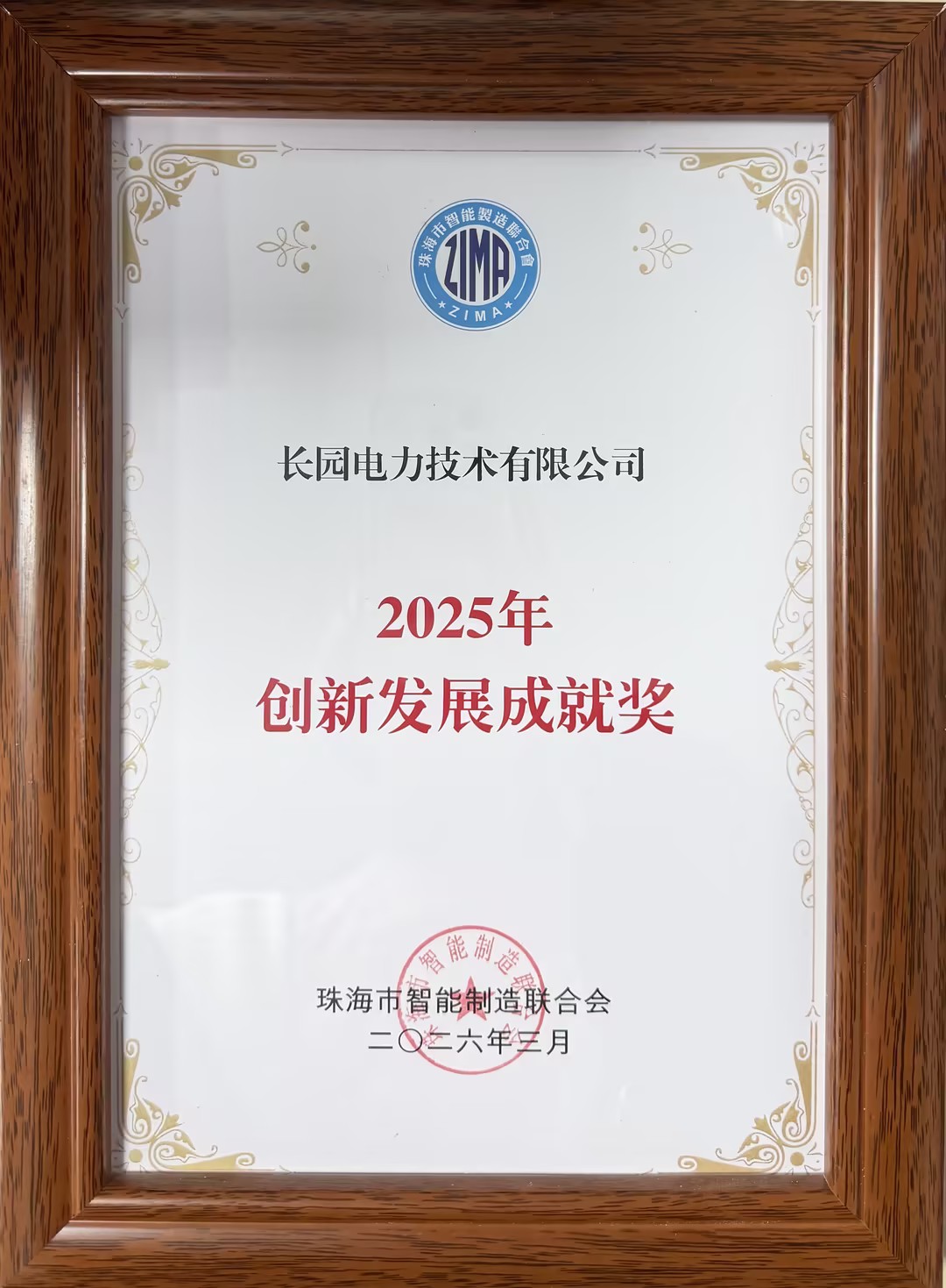 发展成就奖